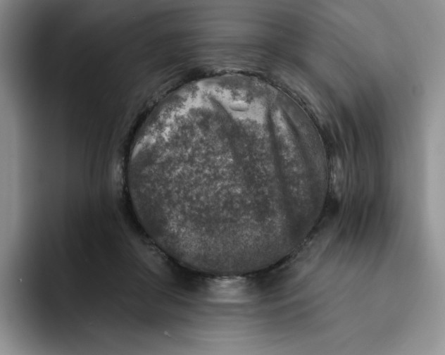 X0000091720410200709141209