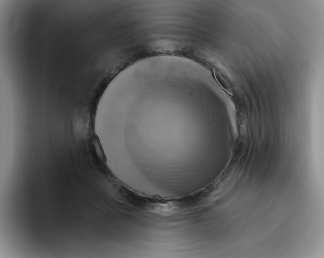 X0000091720411200709141209