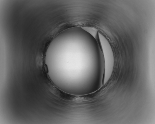 X0000091720413200709141209