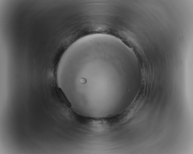 X0000091720415200709141209