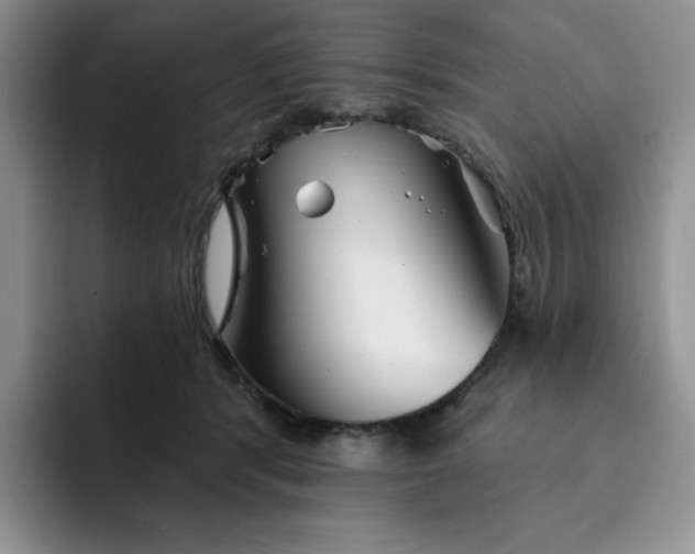 X0000091720416200709141209