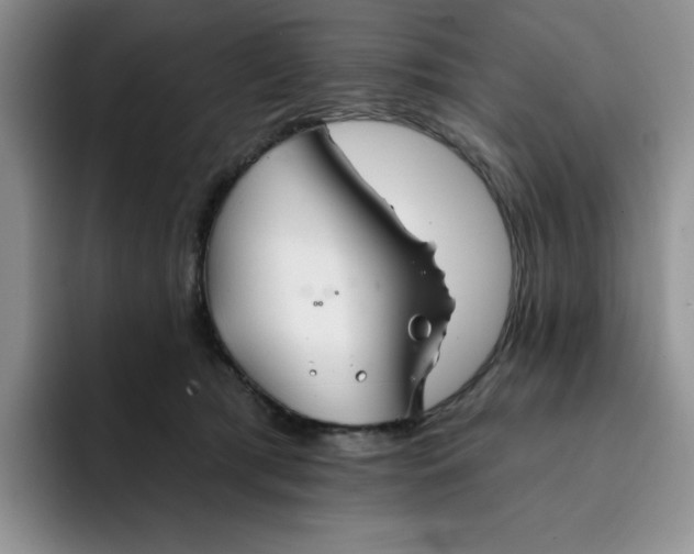 X0000091720417200709141209