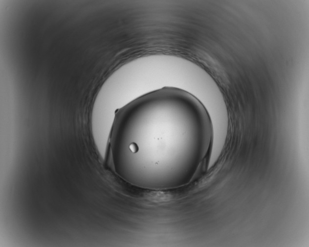 X0000091720421200709141209