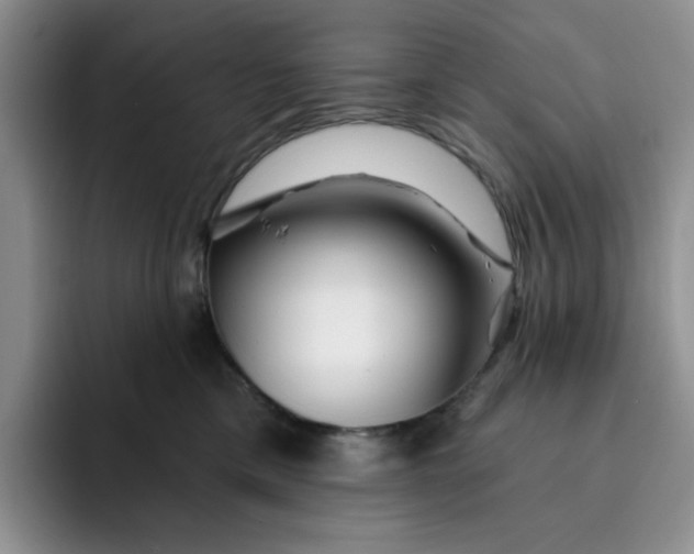 X0000091720425200709141209