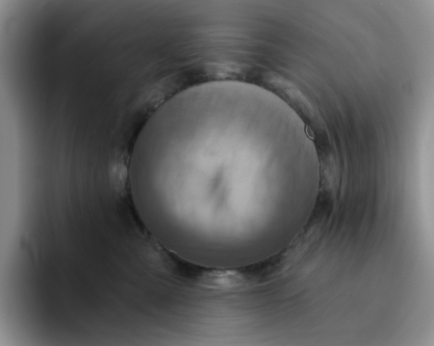 X0000091720427200709141209