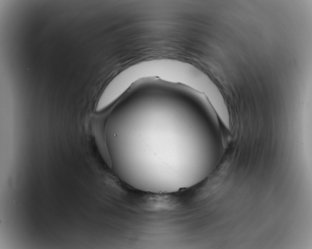 X0000091720428200709141209