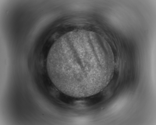 X0000091720430200709141209