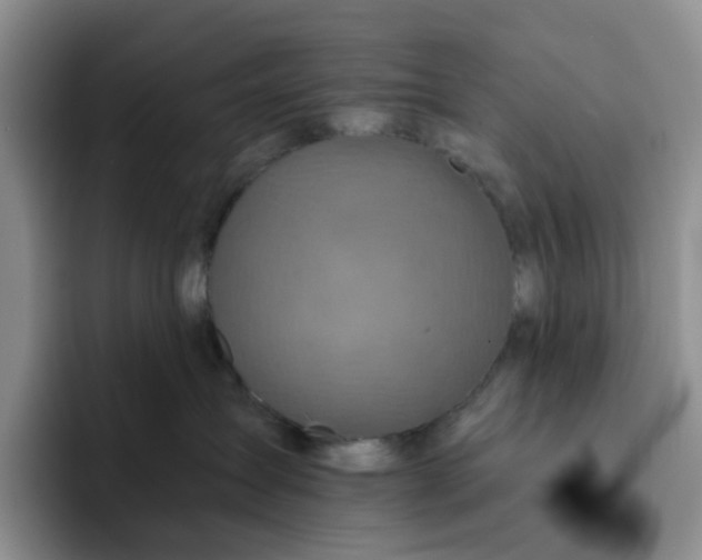 X0000091720431200709141209