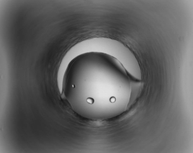 X0000091720432200709141209