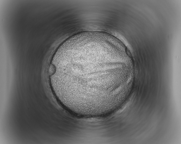 X0000091720433200709141208