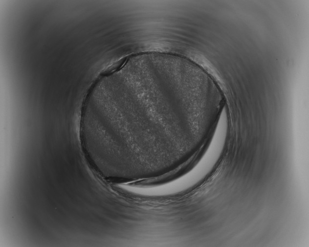 X0000091720434200709141208