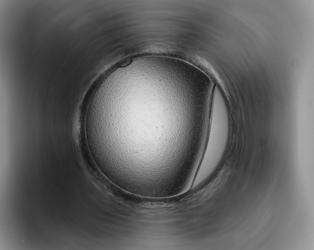 X0000091720435200709141208