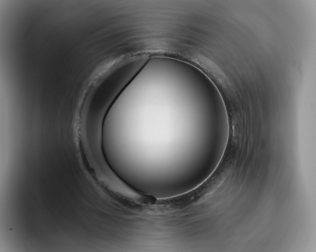 X0000091720436200709141208