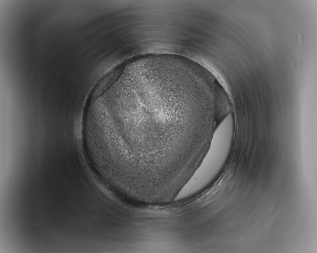 X0000091720437200709141208