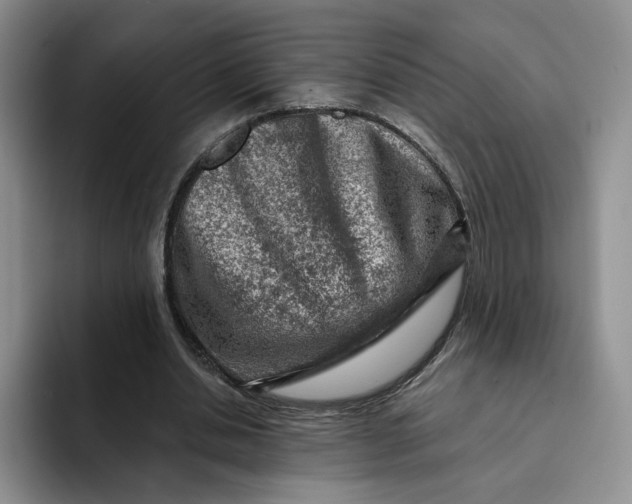 X0000091720438200709141208