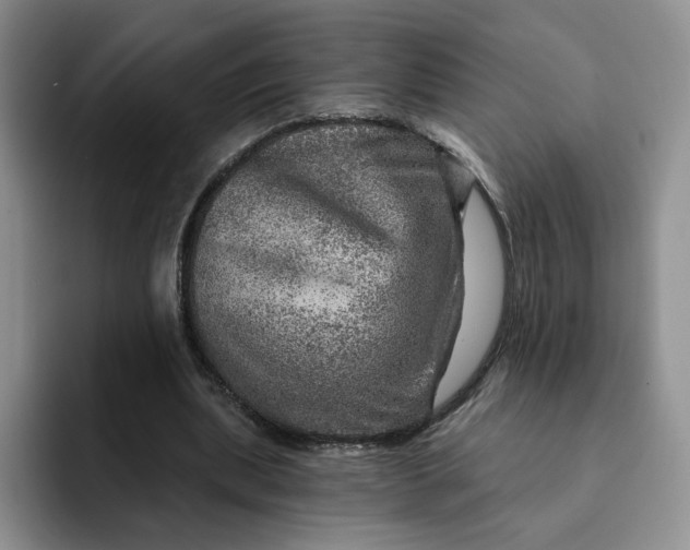 X0000091720439200709141208