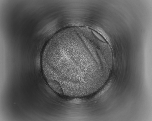 X0000091720441200709141208