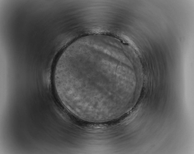 X0000091720443200709141208