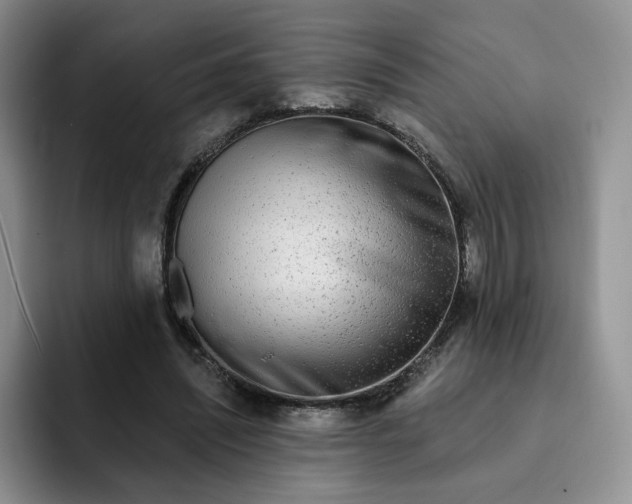 X0000091720444200709141209