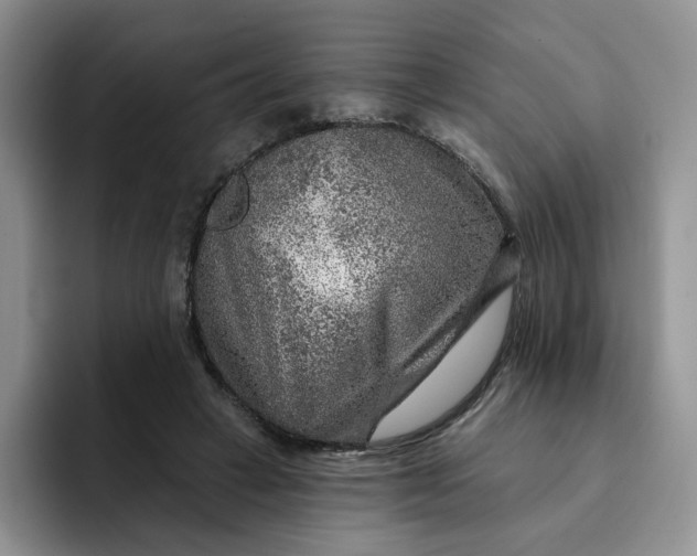 X0000091720449200709141209