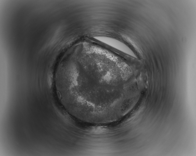 X0000091720451200709141209