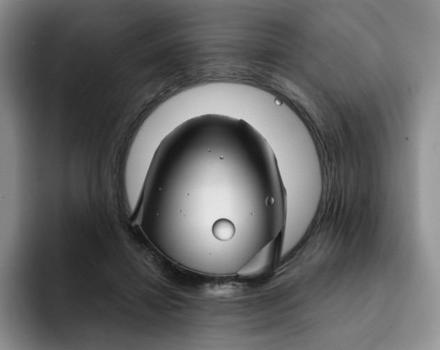 X0000091720452200709141209