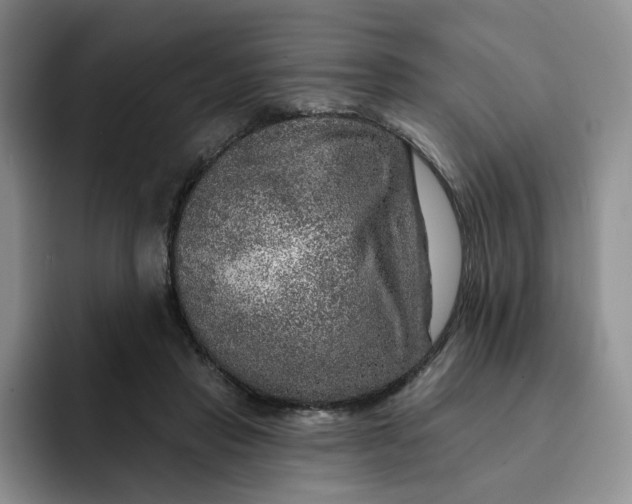 X0000091720453200709141209