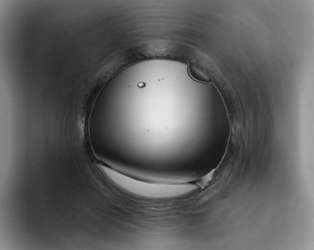 X0000091720454200709141209