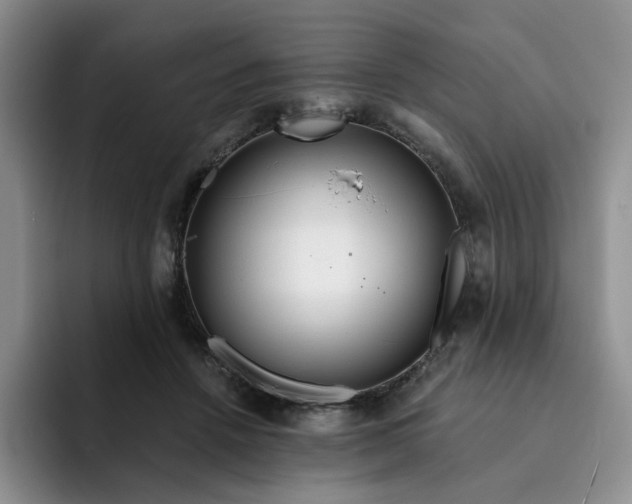 X0000091720456200709141209