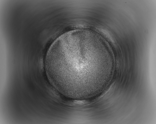 X0000091720457200709141209