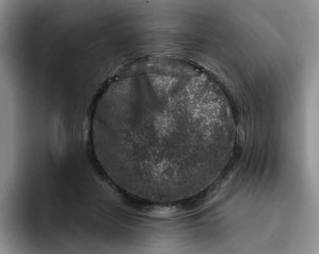 X0000091720458200709141209