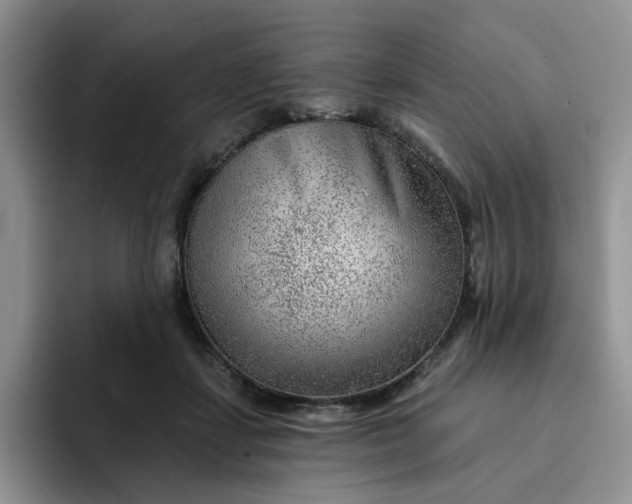 X0000091720459200709141209