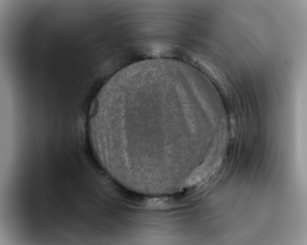 X0000091720461200709141209