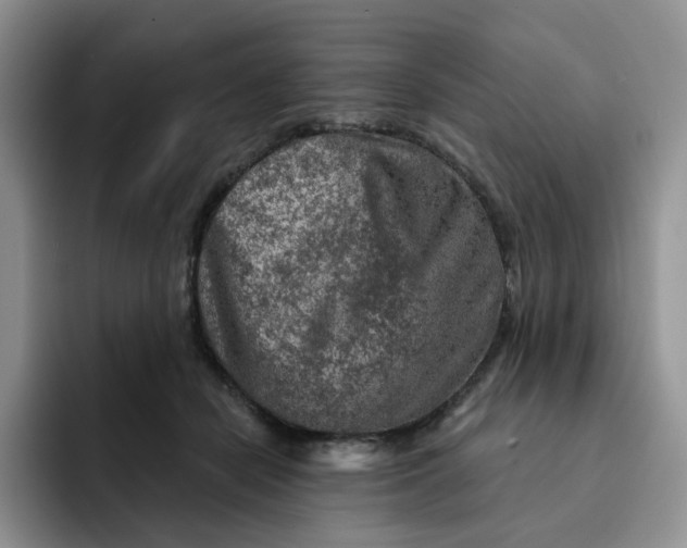 X0000091720462200709141209