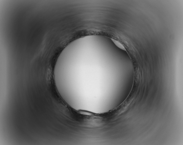 X0000091720463200709141209