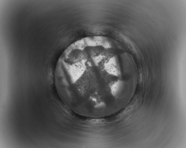 X0000091720465200709141209