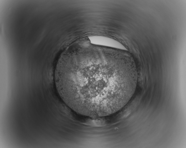 X0000091720466200709141209