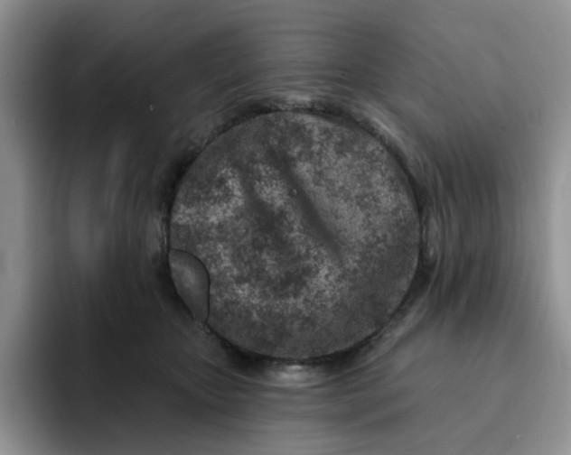 X0000091720467200709141209