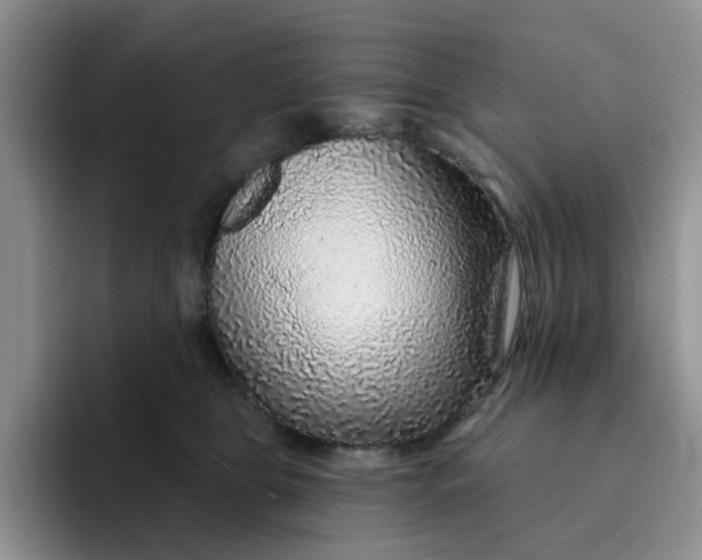 X0000091720469200709141209