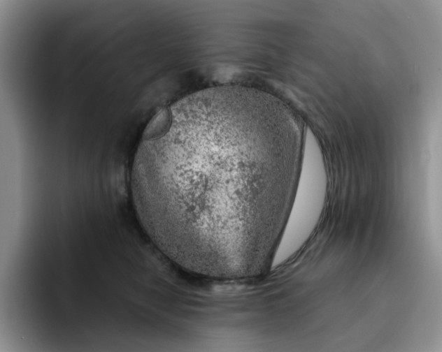 X0000091720470200709141209