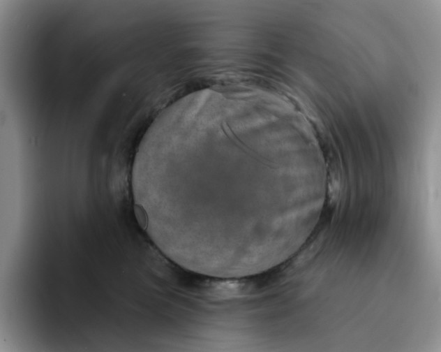 X0000091720473200709141209