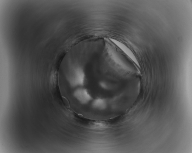 X0000091720475200709141209