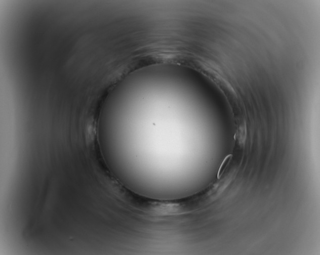 X0000091720476200709141209