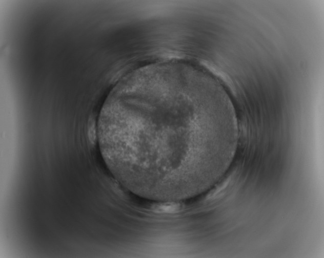 X0000091720479200709141209