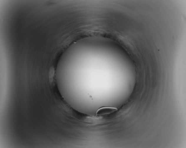 X0000091720480200709141209