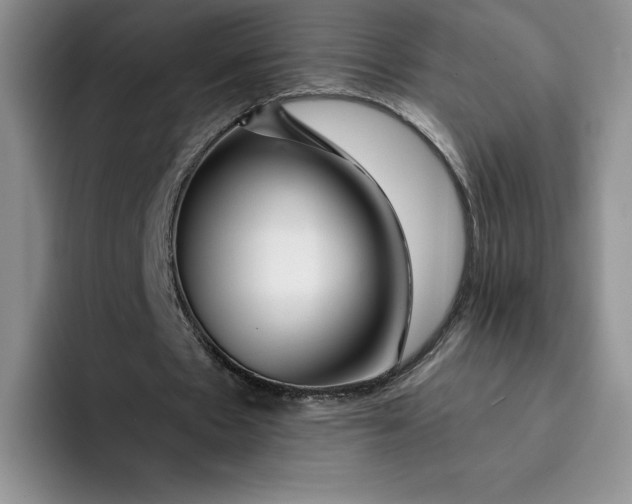 X0000091720481200709141208