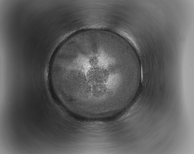 X0000091720483200709141208