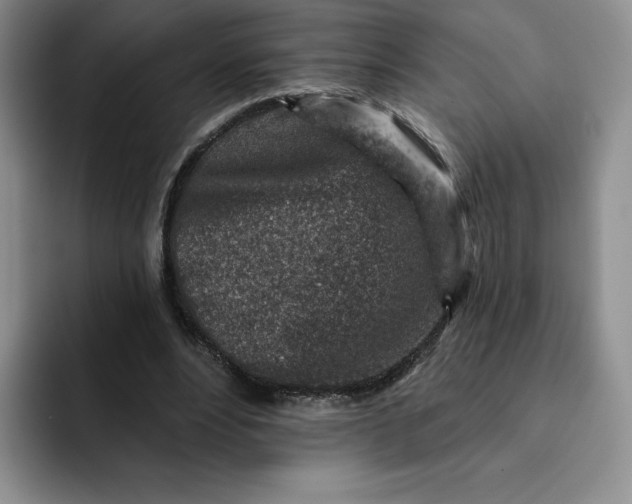 X0000091720488200709141208