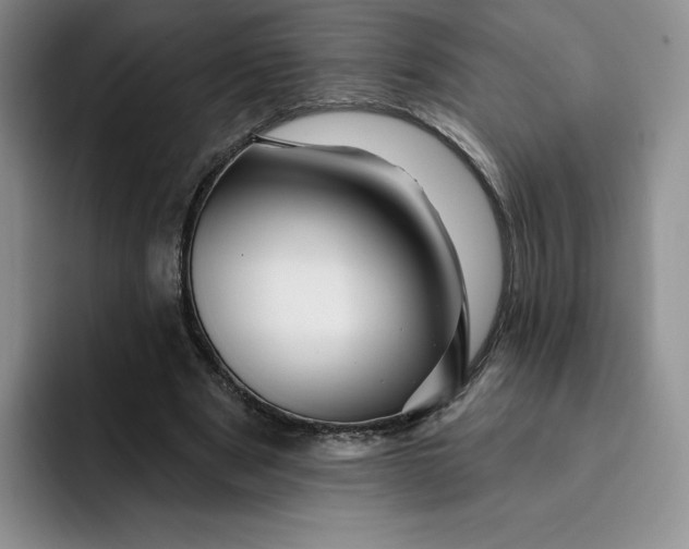 X0000091720489200709141208