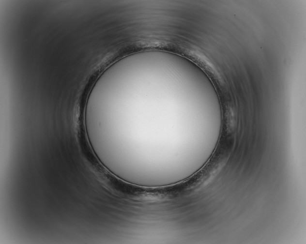 X0000091720490200709141208